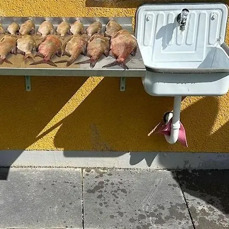 Appartement Am Oase Am Vilzsee Diemitz (Mecklenburgische Seenplatte)