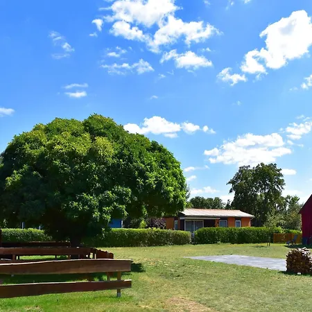 Am Oase Am Vilzsee Appartement