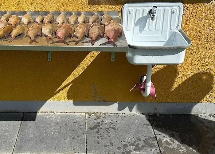 דירה Am Oase Am Vilzsee Diemitz (Mecklenburgische Seenplatte)