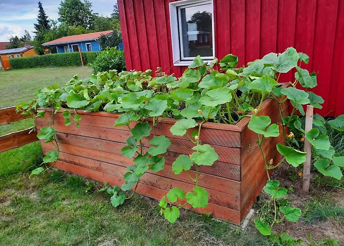 דירה Am Oase Am Vilzsee