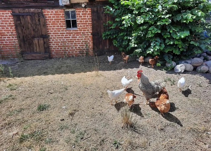 דירה Am Oase Am Vilzsee Diemitz (Mecklenburgische Seenplatte)